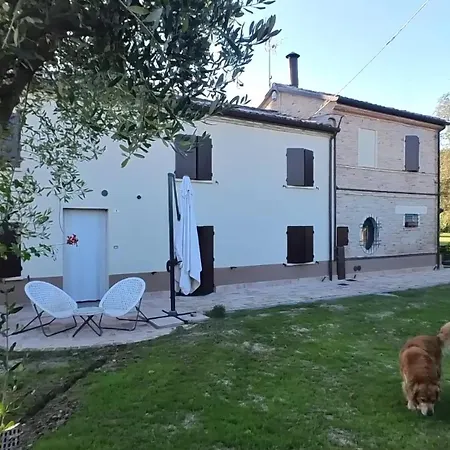 Arzilla * Rosciano (Marche)